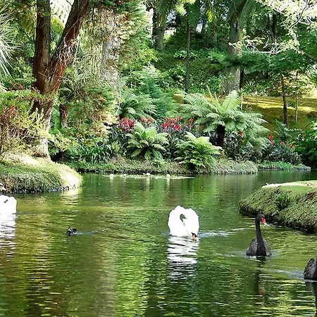 Casa Miradouro Azores *