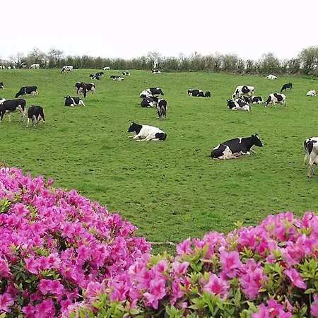 Casa Miradouro Azores Povoacao (Sao Miguel)