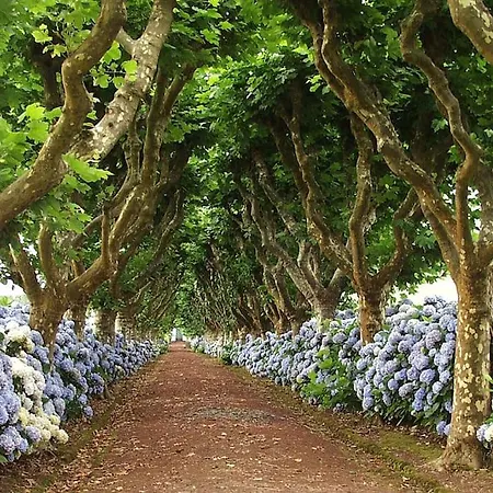 Feriehus Casa Miradouro Azores