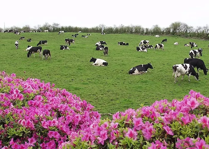 Casa Miradouro Azores Povoacao (Sao Miguel)