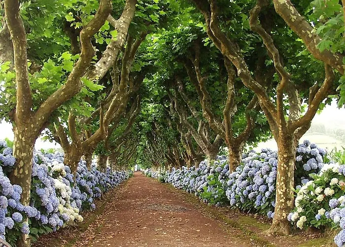 Holiday home Casa Miradouro Azores