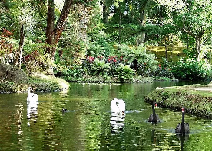 Casa Miradouro Azores *